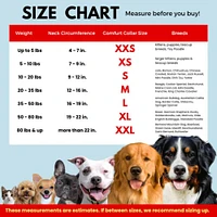 Protective Recovery Collar for Dogs & Cats - Soft, Adjustable & Secure Fit