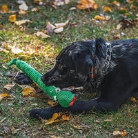 HuggleHounds - Plush Dog Toy - Lucky Snake Knottie