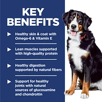 Science Diet - Large Breed Adult Dry Dog Food – Lamb & Brown Rice Recipe – Supports Joint,  Muscle & Skin Health