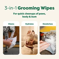 Earth Rated - Textured Pet Grooming Wipes - Hypoallergenic & Dermatologist Tested - White Tea & Basil