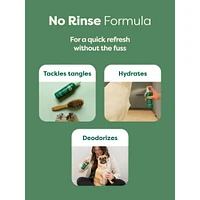 Earth Rated - Dog Refresh Mist - Deodorizing & Conditioning - White Tea & Basil