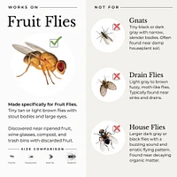 Wondercide - Fruit Fly Trap for Home + Kitchen - Plant Powered & Pet Safe Insect Control