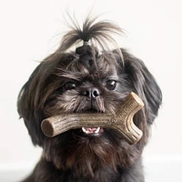 Benebone - Dog Chew Toy - Maplestick & Bacon Zaggler