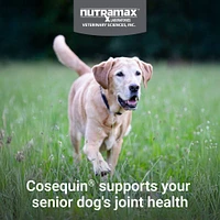 Cosequin - Soft Chews for Senior Dogs - Joint Support Supplement with Glucosamine for Mobility & Comfort