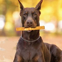 - Rawhide Alternative Dog Chew - Digestible & Long Lasting Treat - Peanut Butter Roll - 2 Pack