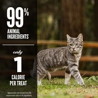 Orijen - Freeze Dried Cat Treat - High Protein Training Reward - Six Fish Recipe