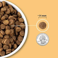 ACANA - Dry Dog Food - Protein Rich with Limited Ingredients - Free Run Poultry & Grains Recipe - 25 lbs Bag