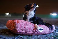 - Rectangle Dog Bed - Alyssa