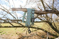 Dog Collar - Arrow Blue