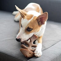 Benebone - Dog Chew Toy - Fish Bone & Bacon Wishbone