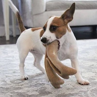 Tall Tails - Antler Chew Dog Toy - Long Lasting & Bacon Scented for Interactive Play
