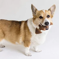 Benebone - Dog Chew Toy - Fish Bone