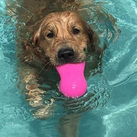 - Durable Retrieving Dog Toy - Tough & Textured for Chewing & Fetch - Peanut Crunch
