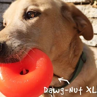 - Durable Retrieving Dog Toy - Bouncy Rubber Ring for Chewing & Fetch - Dawg-Nut