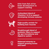 Science Diet - Puppy Dry Dog Food for Healthy Growth & Development – Chicken Recipe