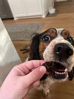 Dog Treat