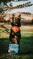 Tucker's - Frozen Dog Food - Bison & Pork