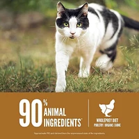Orijen - High Protein Dry Cat Food - Grain Free with WholePrey Nutrition - Original Cat