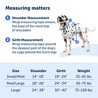 - No Pull Easy Walk® Comfort Dog Harness - Padded Adjustable Front & Back Clip for Training & Control