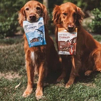 Otis - Natural Dog Training Treats - Trainers for Focus & Learning - Salmon Recipe