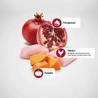 - Dry Dog Food - Chicken & Pomegranate Med/Maxi Adult