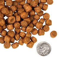Fromm - Dry Dog Food - Game Bird Recipe