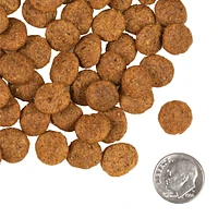 Fromm - Coast Grain Free Weight Management Dry Dog Food - Supports Healthy Weight,  Digestion & Lean Muscle - 4 lbs Bag