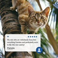 - Dry Cat Food - Chicken,  Spelt,  Oats & Tropical Fruits Adult Cat