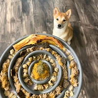 Messy Mutts - Interactive Slow Feeder Bowl - Gray