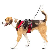 PetSafe - EasySport™ Dog Harness - Padded Adjustable Fit with Quick Snap Buckles & Control Handle
