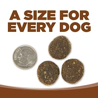 NutriSource - Large Breed Grain Free Dry Dog Food for Sensitive Digestion & Muscle Support - Lamb Meal & Peas Recipe