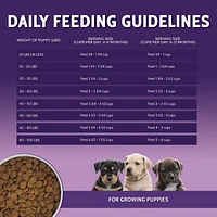 Dog Food
