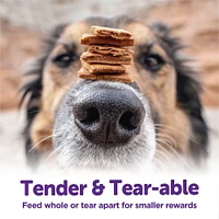 Wellness - The Rewarding Life Dog Treats - Natural, Soft & Grain Free Training Bites
