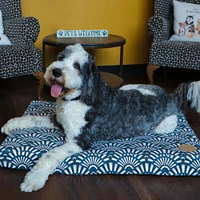 Orthopedic Dog Bed