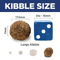 Science Diet - Large Breed Adult Dry Dog Food – Lamb & Brown Rice Recipe – Supports Joint,  Muscle & Skin Health