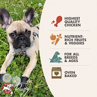 Fromm - Dog Treats - Chicken with Peas & Carrots Recipe