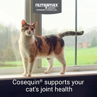 Cosequin - Soft Chews for Cats - Joint Health Supplement with Omega 3s for Overall Wellness