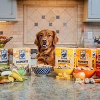Wet Noses - Moments Limited Ingredient Crunchy Dog Treats - Made with Human Grade Ingredients - Cheesy Pretzel Recipe