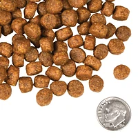 Fromm - Dry Dog Food - Beef Frittata Veg® Recipe