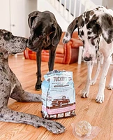 Tucker's - Frozen Dog Food - Salmon & Pumpkin