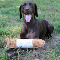 Tall Tails - Leather Trout Rope Tug Dog Toy – Textured & Crunchy for Interactive Play