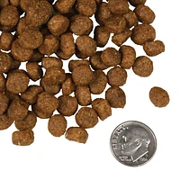 Fromm - Dry Dog Food - Salmon À La Veg® Recipe