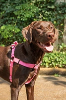 Nylon Dog Harness