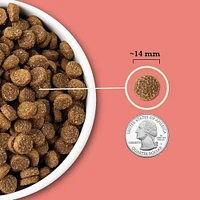 ACANA - Dry Dog Food - Protein Rich with Limited Ingredients - Red Meat & Grains Recipe