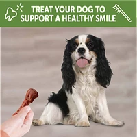 WHIMZEES - Dog Dental Treat - Brushzees Natural Grain Free Dental Chews