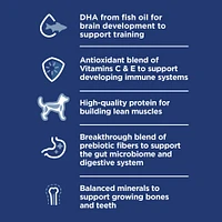 Science Diet - Large Breed Puppy Dry Dog Food for Healthy Growth & Lean Muscle Support – Chicken Recipe