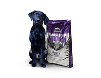 Fromm Classic - Dry Dog Food