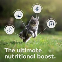 ZIWI Peak - Gently Air Dried Cat Food – Grain Free & High Protein Raw Nutrition
