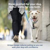 - No Pull Easy Walk® Comfort Dog Harness - Padded Adjustable Front & Back Clip for Training & Control