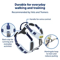 - No Pull Easy Walk® Comfort Dog Harness - Padded Adjustable Front & Back Clip for Training & Control